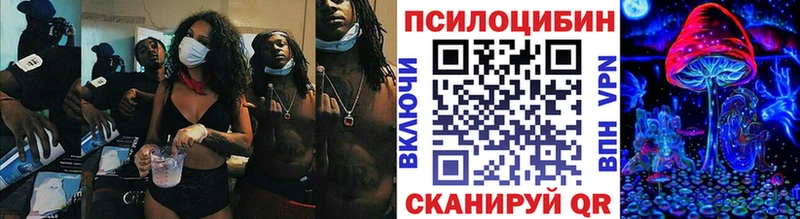 Галлюциногенные грибы MAGIC MUSHROOMS  сайты даркнета Telegram  Новая Усмань  цена  
